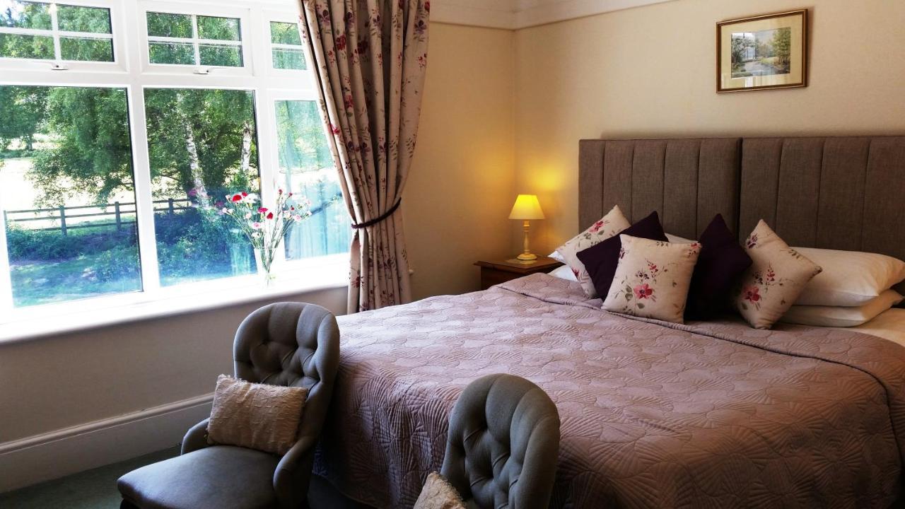 لِندهورْسٍتْ Whitemoor House B&B المظهر الخارجي الصورة
